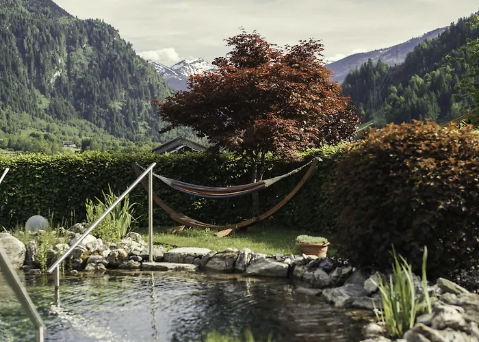 هاوس كاثارينا *